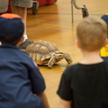 IMG 8143